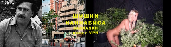 эйфоретик Надым