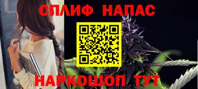 спиды Новозыбков