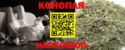 спиды Новозыбков