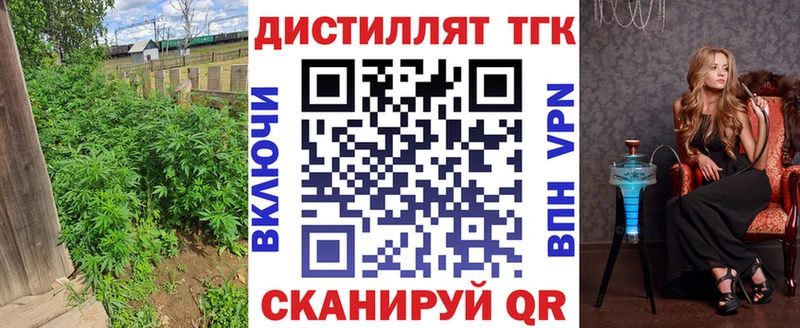 где купить   Фурманов  ТГК гашишное масло 